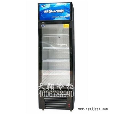 供应天翔SCB-240LCP便利店冷柜图2
