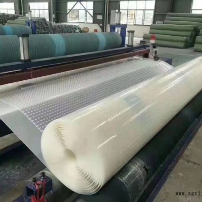 天仁 EVA土工膜 防渗膜定制 新疆图1