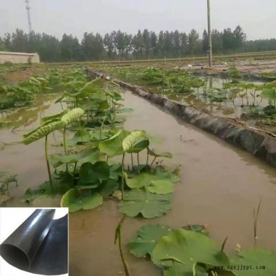 正宇 防渗膜 EVA土工膜定制 重庆图7