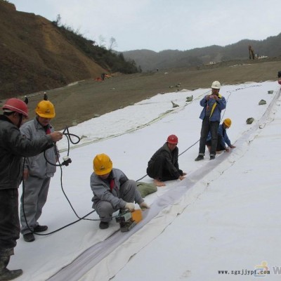 EVA吊带防水板 ECB防水板 厂家直接供应涵洞ECB土工膜 隧道EVA吊带防水板 配热熔垫片 HDPE吊带图2