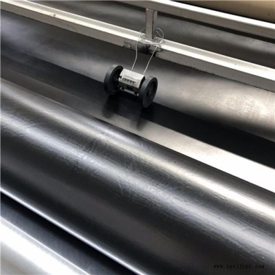 黑色土工膜厂家 EVA土工膜 润泽土工图6