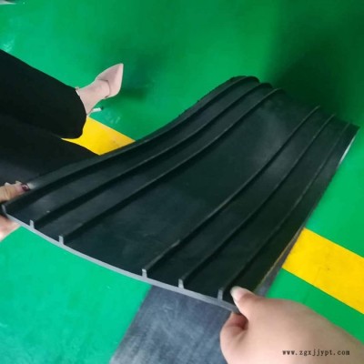 EVA止水带 止水带 P型橡胶止水带 衡水锐宝 生产厂家图5