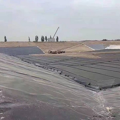 宇润   pe土工膜   EVA土工膜 水产土工膜   支持定制图8