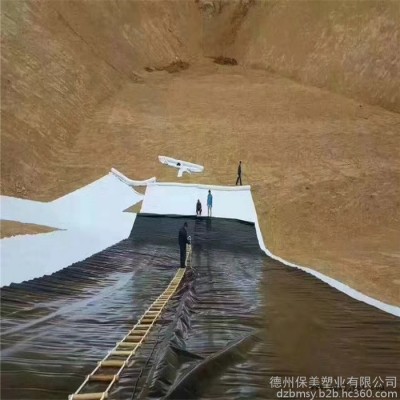 山东生产EVA吊挂式隧道用防水板厂家 强度高 焊接性好 耐老化图3