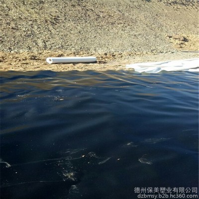 山东生产EVA吊挂式隧道用防水板厂家 强度高 焊接性好 耐老化图4
