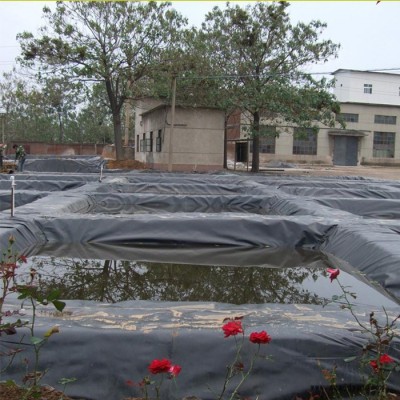 专业生产土工膜 藕池鱼塘水产养殖防渗土工膜 eva隔水土工膜 量大价优图5
