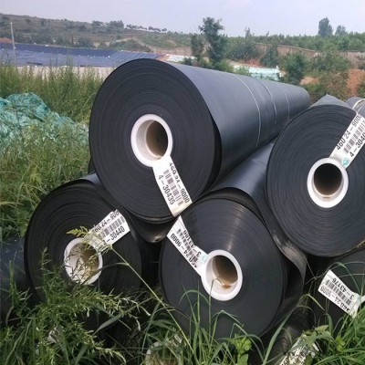 专业生产土工膜 藕池鱼塘水产养殖防渗土工膜 eva隔水土工膜 量大价优图4