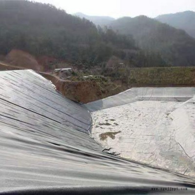 宏瑞 防漏土工膜 EVA土工膜 黑色土工膜 支持定制图4
