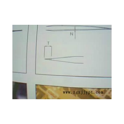 【电臻】供应瑞士Rubis Wafer handling tweezers 镊子43LB-8 Peek图3
