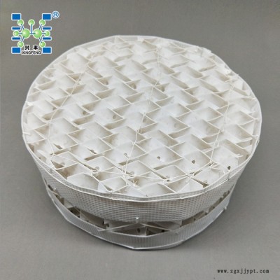 大量供应 PP波纹填料 PP规整填料 塑料波纹规整填料,四氟波纹 PTFE规整填料 125 250 350图7