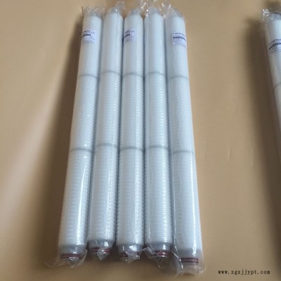 微孔膜滤芯（PTFE）0.22-5um图6