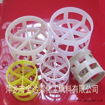 塑料鲍尔环_井字形鲍尔环_米字形鲍尔环_PP PE PPS PPH PVC CPVC PVDF PTFE鲍尔环填料图3