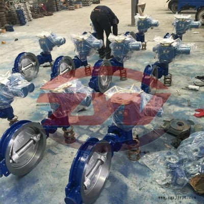 PN25-DN250德标法兰式三偏心软密封PTFE密封蝶阀手动蜗轮操作图8