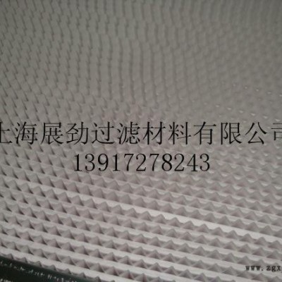 厂家PTFE有隔板高效空气过滤器，PTFE纸隔板高效空气过滤器图2