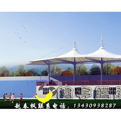 供应PTFE体育看台雨棚/PVDF雨棚设计/PVC景观遮阳棚设计/PTFE雨棚价格