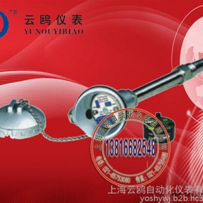 PTFE烧结四氟防腐热电阻工况生产图3