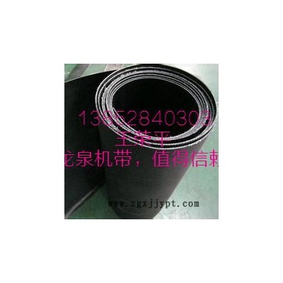供应龙泉PTFE铁氟龙输送带布带图4