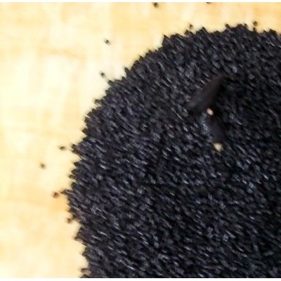钜庞塑料PVC塑料供应用于的再生料黑色pvc颗粒，东莞再生料黑色pvc颗粒图2