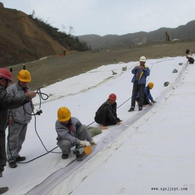 美标土工膜厂家 高密度聚乙烯土工膜 润泽土工