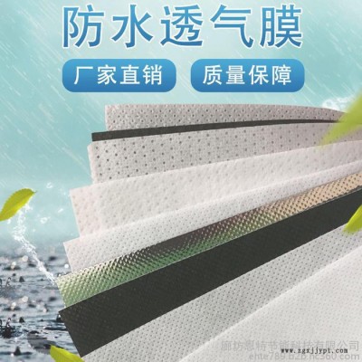 聚乙烯隔气膜 高密度聚乙烯隔气膜 pe隔气膜厂家批发图6