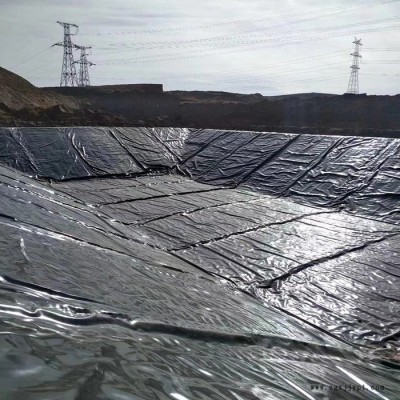 松滋定制聚乙烯土工膜 垃圾填埋场专用高密度聚乙烯膜 HDPE膜1.5mm图3