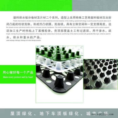 中齐高密度聚乙烯排水板 泰安厂家蓄排水板现货库存图2