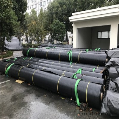 高密度聚乙烯膜【上海盈帆】防渗膜土工膜供应 欢迎来电咨询图3