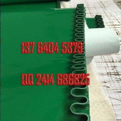 裙边挡板导条pvc输送带千始齐全 pvc群边输送带图3