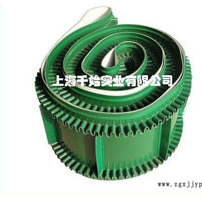 裙边挡板导条pvc输送带千始齐全 pvc群边输送带图6