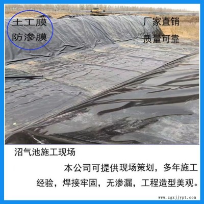 厂家污水沼气厌氧池hdpe高密度聚乙烯防渗膜 黑色土工膜图2
