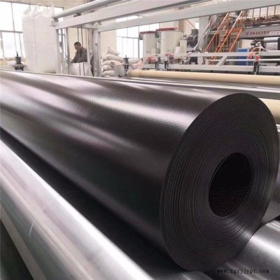 高密度聚乙烯土工膜 人工湖防渗膜 批发供应 欢迎选购 城建国标土工膜图5