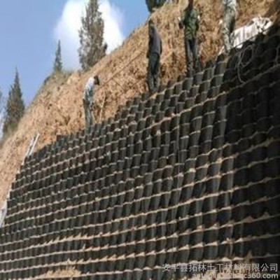 拓林  土工格室 微桩土工格室 高密度聚乙烯土工格室图5