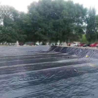 鸿跃厂家定制  HDPE防渗膜  高密度聚乙烯土工膜 垃圾填埋场防渗膜图6