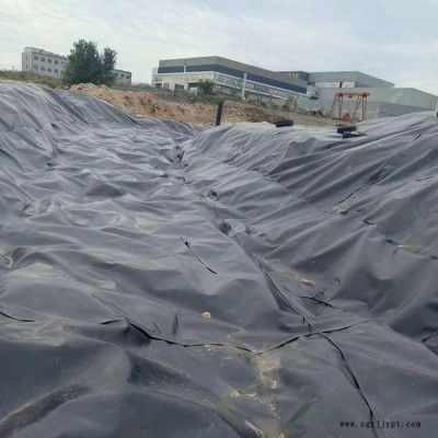 固废处理灰渣处理土工膜 高密度聚乙烯土工膜防渗专用 hdpe土工膜图4