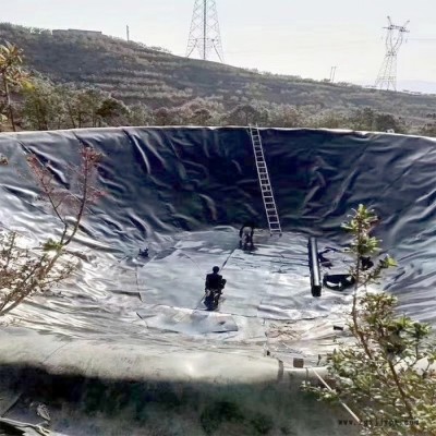 厂家现货供应  垃圾填埋场HDPE土工膜    高密度聚乙烯土工膜图2