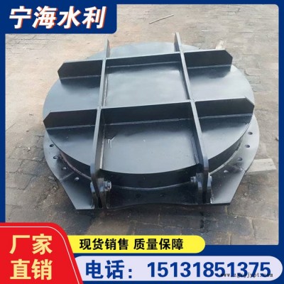 高密度聚乙烯拍门 市政排水防倒灌止水阀  宁海 高分子复合拍门图3
