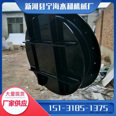 高密度聚乙烯拍门 市政排水防倒灌止水阀  宁海 高分子复合拍门图5