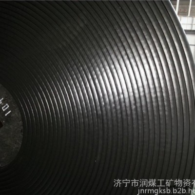 耐寒pvc输送带 耐热pvc输送带 防腐蚀pvc输送带定制加工 耐寒pvc输送带 耐寒pvc输送带图4