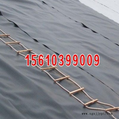 HDPE防渗膜 ** **价廉 供应**HDPE 量大从优  欢迎咨询订购 HDPE防渗膜图2