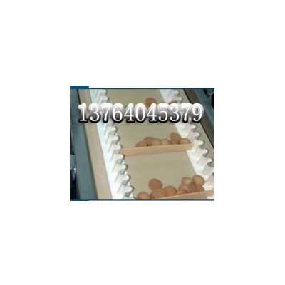 山东pvc输送带防滑带图4