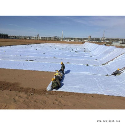 锦旺土工膜hdpe  防渗hdpe土工膜  土工膜HDPE土工膜图5