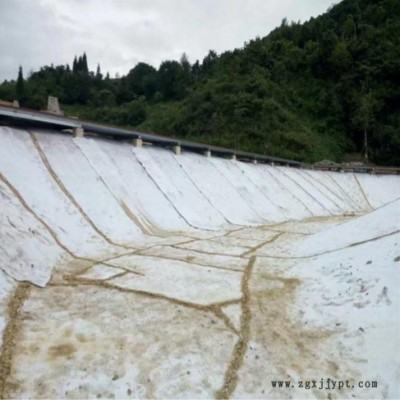 鑫宇 hdpe土工膜 hdpe防渗土工膜厂家  厂家批发图3