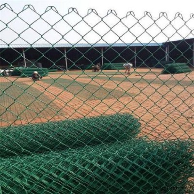 pvc勾花网 喷浆勾花网 勾花围栏 鼎豪丝网定制图5