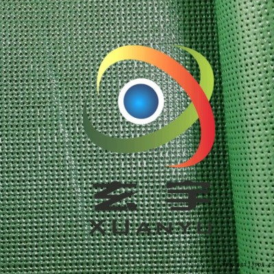 浙江玄宇工厂生产PVC塑胶网格布 浸塑网眼布 防风防尘防晒网格布 PVC网格布图5