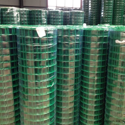 专业生产 涂塑荷兰网  pvc涂塑荷兰网 安平荷兰网 pvc荷兰网 镀锌荷兰网图2