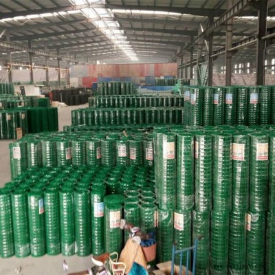 专业生产 涂塑荷兰网  pvc涂塑荷兰网 安平荷兰网 pvc荷兰网 镀锌荷兰网图3