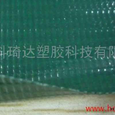 供应科琦达KQD-A-175PVC夹网布图3