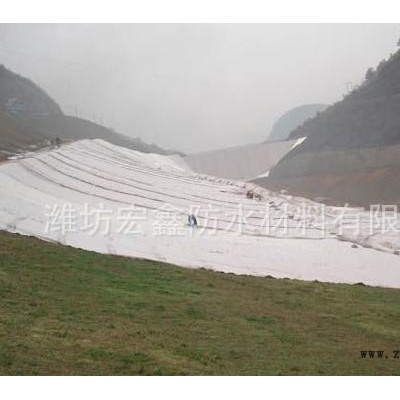 HDPE，LDPE,EVA复合土工膜图3