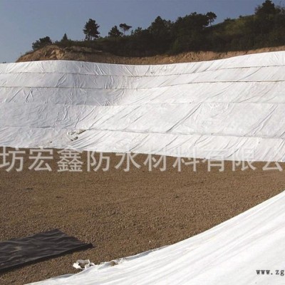 HDPE，LDPE,EVA复合土工膜图2