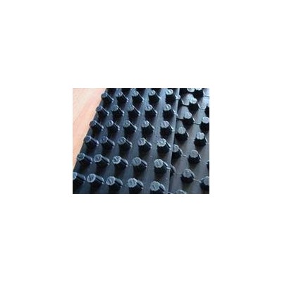 中齐齐全张掖市HDPE排水板生产厂家 现货批发 全国直销 张掖市HDPE排水板厂家图1